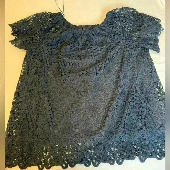 ADIVA Lace Blue Blouse with lining (Size 1X) - Picture 2 of 13